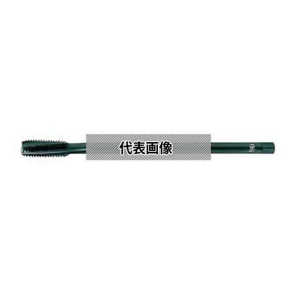 緑であること活動の領域