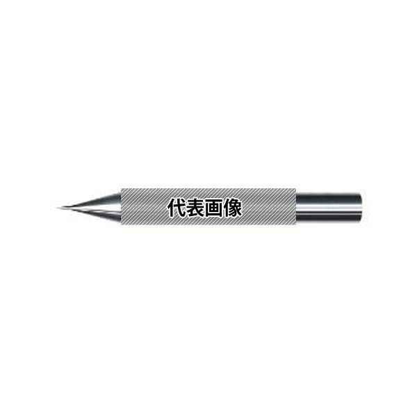 緑であること活動の領域