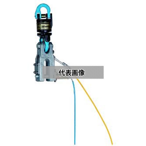 緑であること活動の領域