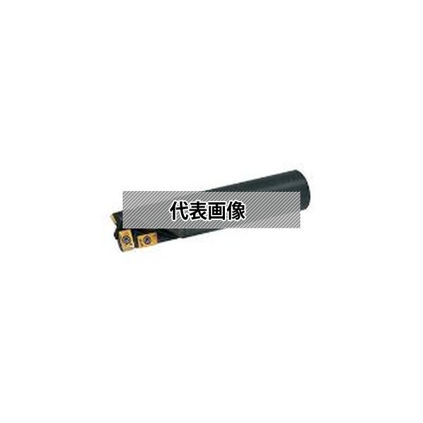 緑であること活動の領域
