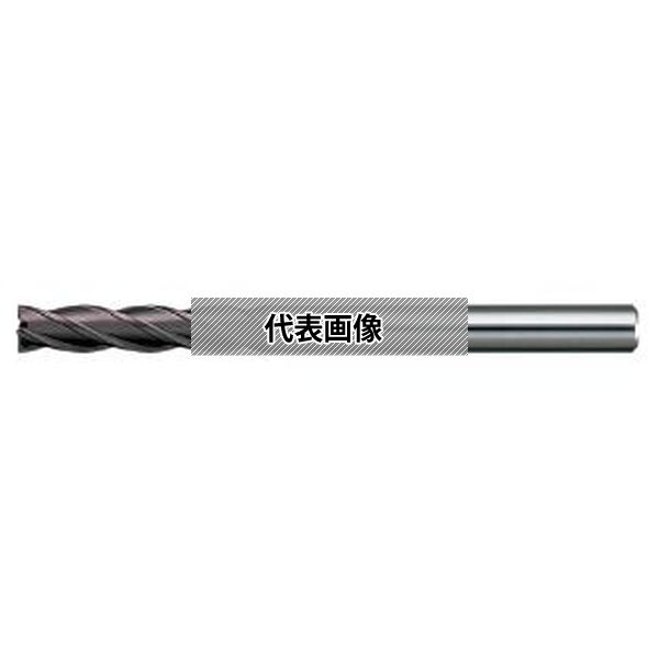 日進工具(株) 無限ミディアムエンドミル MSEM430 2