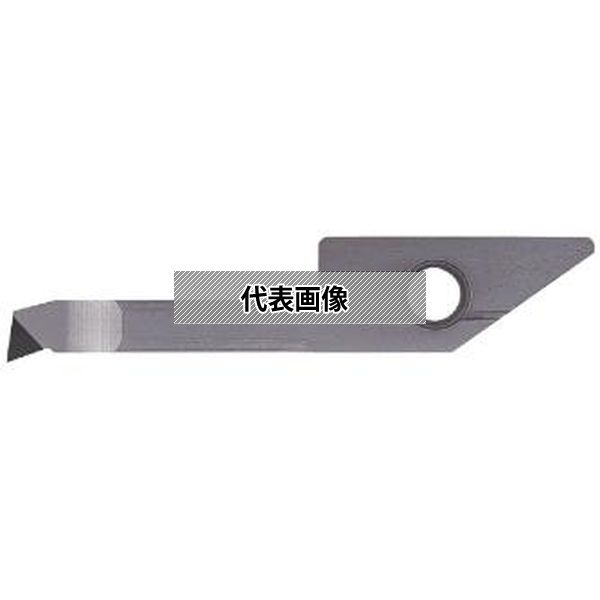 緑であること活動の領域
