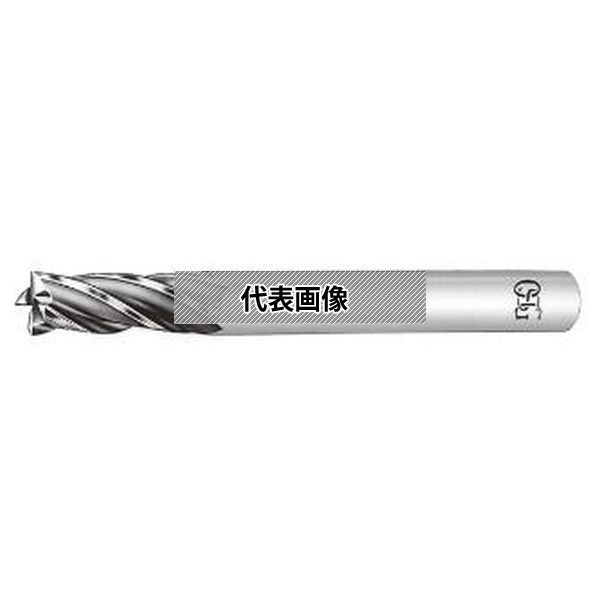緑であること活動の領域