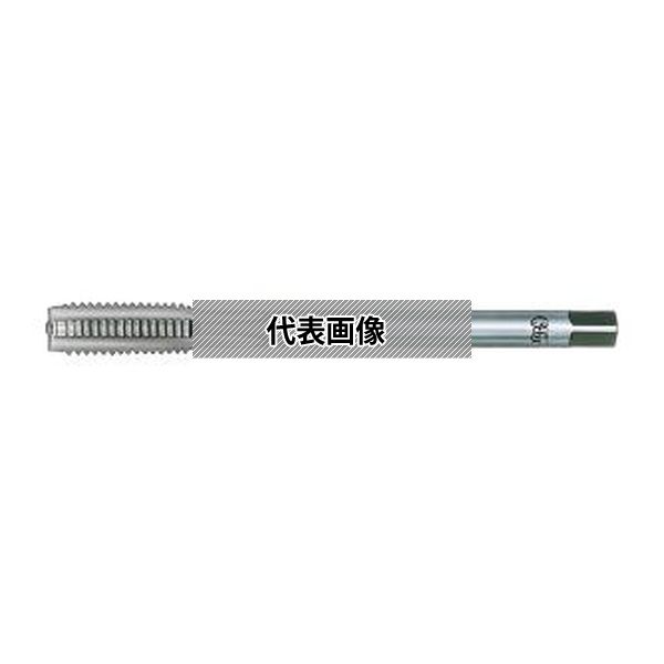 緑であること活動の領域