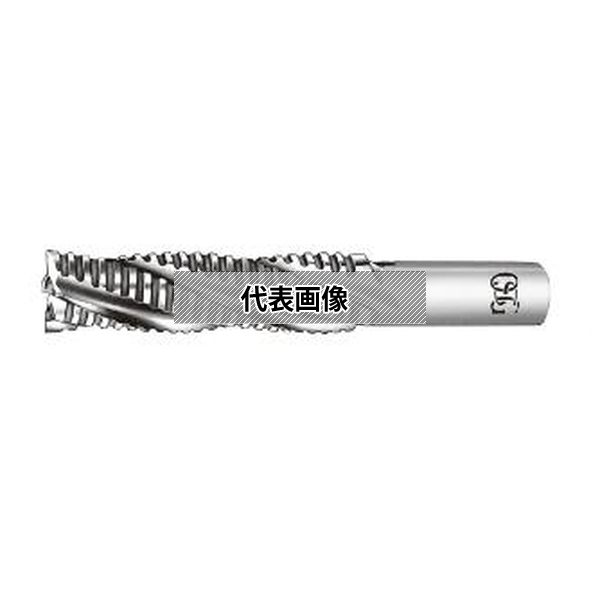 オーエスジー（株） 中仕上げエンドミル RFEL 20X125 27,643円