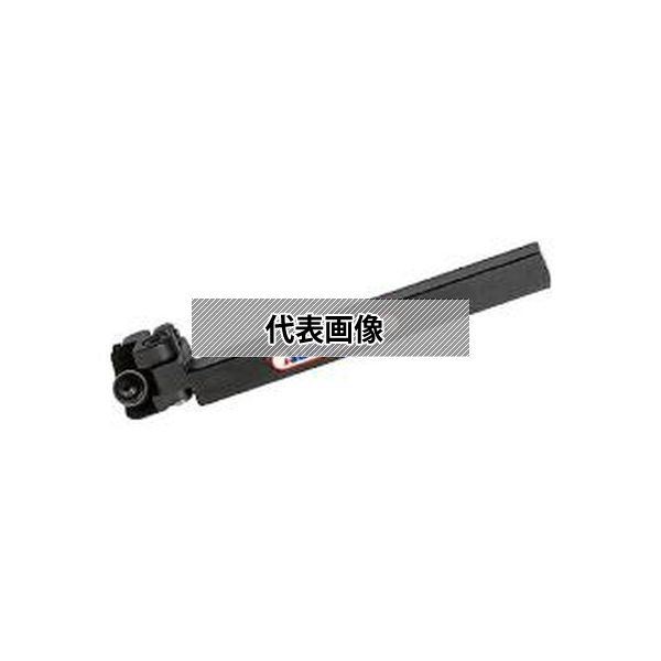 緑であること活動の領域