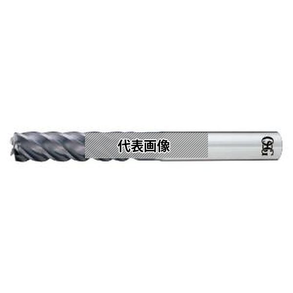 緑であること活動の領域