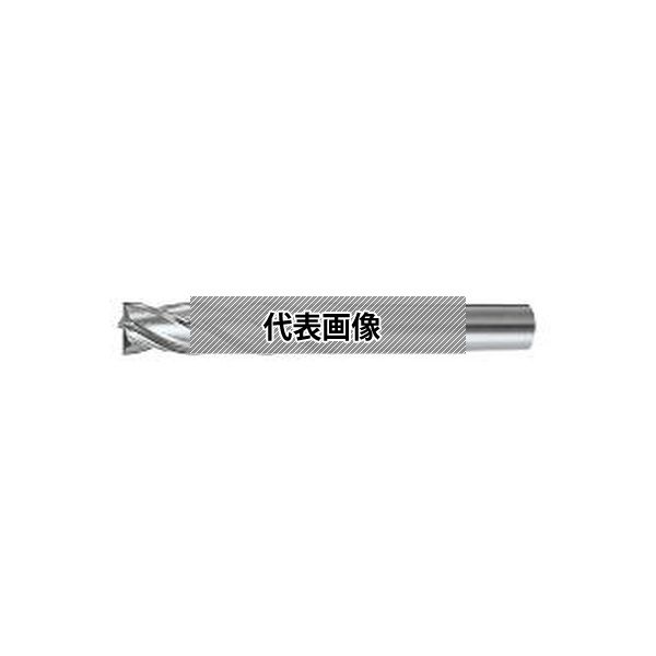 緑であること活動の領域