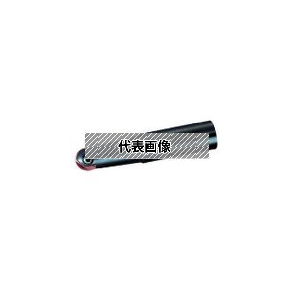 緑であること活動の領域