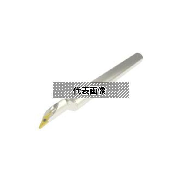 緑であること活動の領域