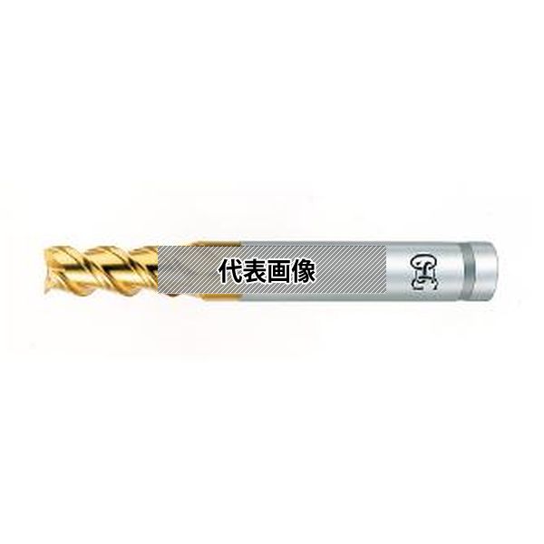 緑であること活動の領域