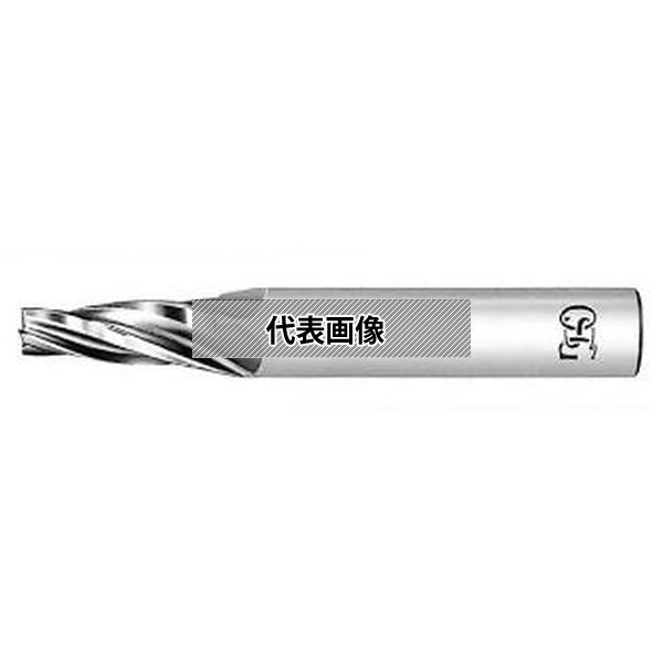 緑であること活動の領域