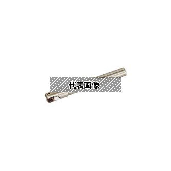 緑であること活動の領域