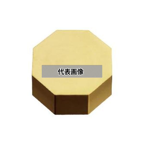 緑であること活動の領域
