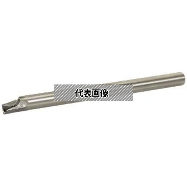緑であること活動の領域