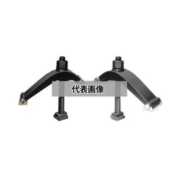 緑であること活動の領域