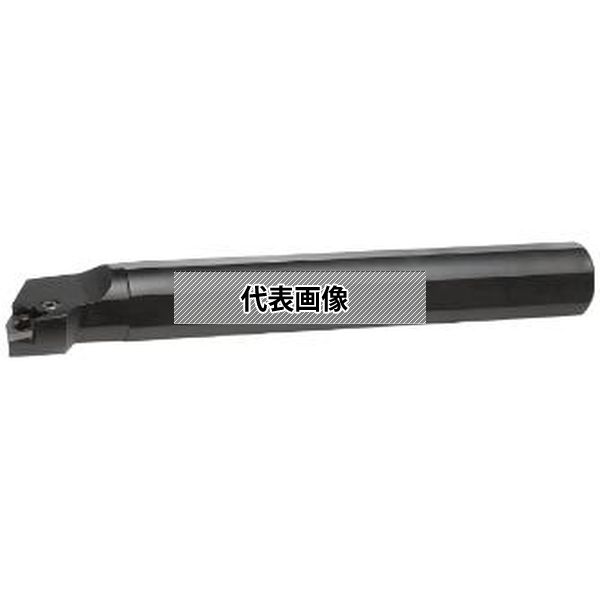 緑であること活動の領域