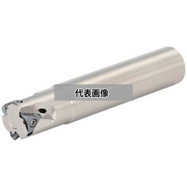 緑であること活動の領域