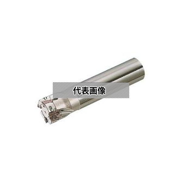 緑であること活動の領域