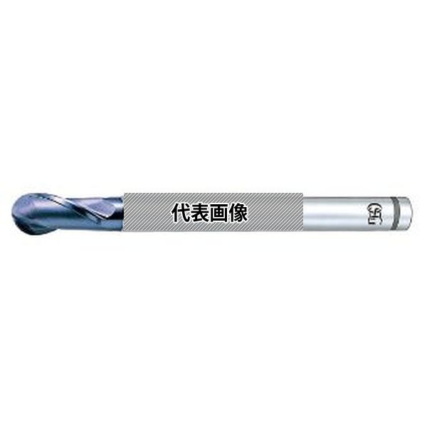 緑であること活動の領域