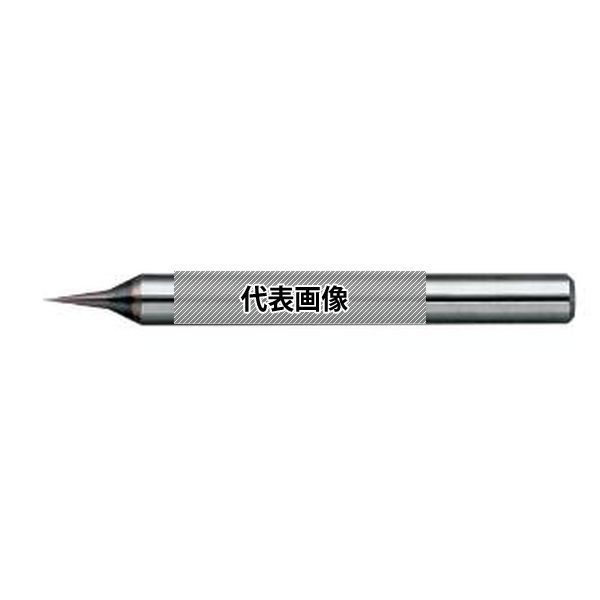 日進工具(株) 無限マイクロドリルショート NSMD-MS 0.05X0.3
