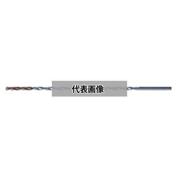 緑であること活動の領域
