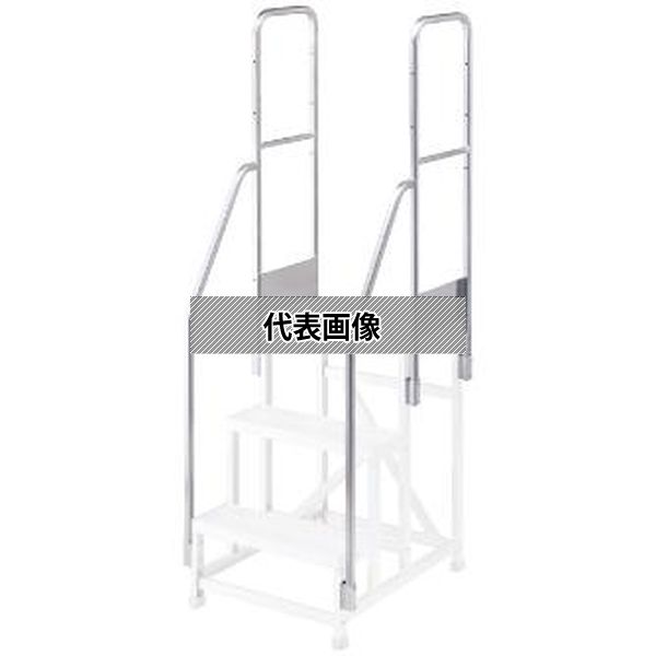 長谷川工業(株) 両側手摺 DB2.0-T2W110 [法人限定]