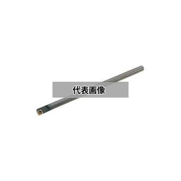 緑であること活動の領域