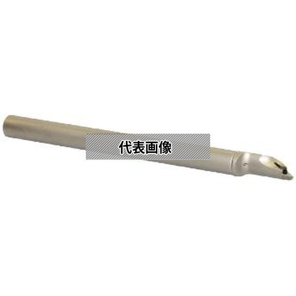 緑であること活動の領域