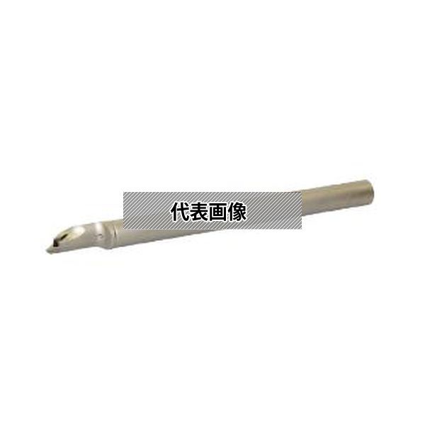緑であること活動の領域