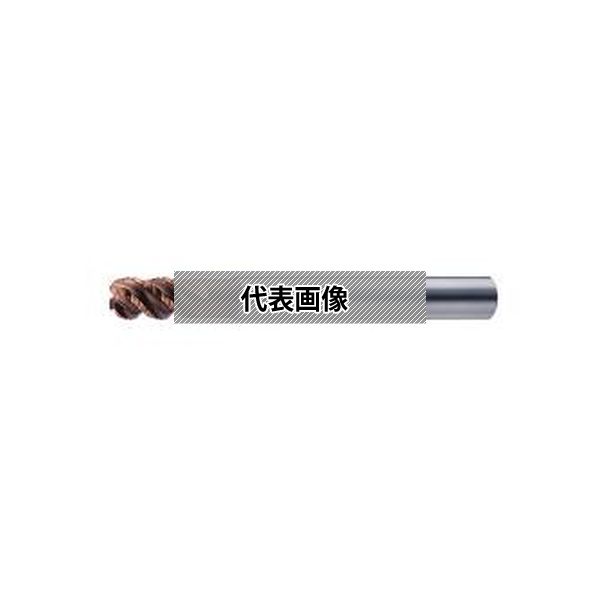 緑であること活動の領域
