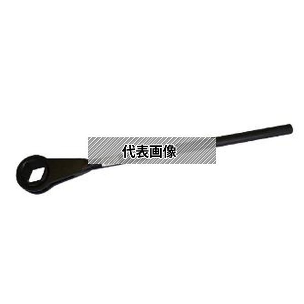 緑であること活動の領域