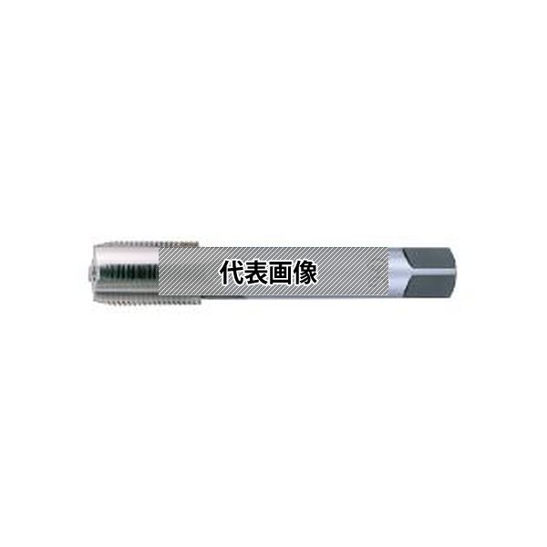 緑であること活動の領域