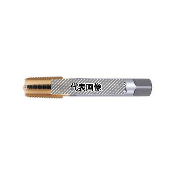 オーエスジー（株） 管用テーパタップ TIN-LT-TPT HSE 2 PT3/8-19X100