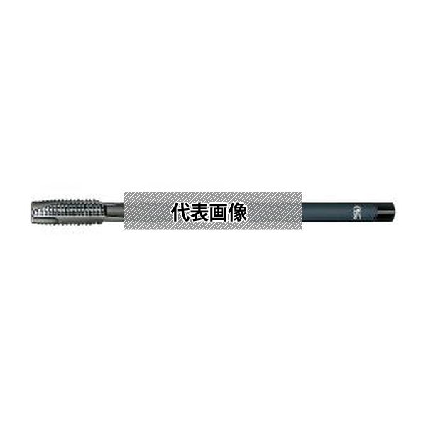 緑であること活動の領域
