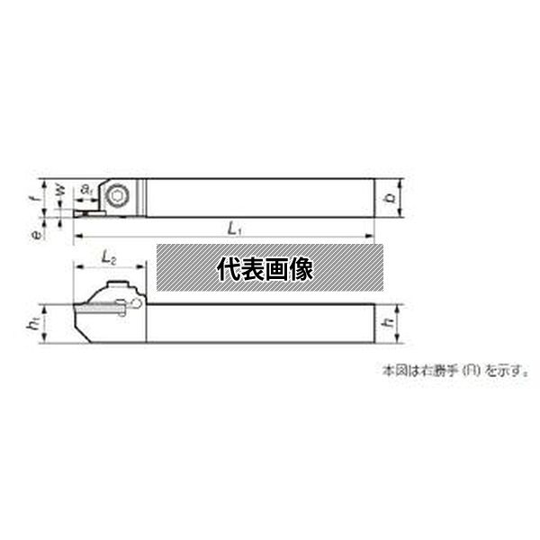 緑であること活動の領域