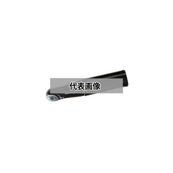 緑であること活動の領域