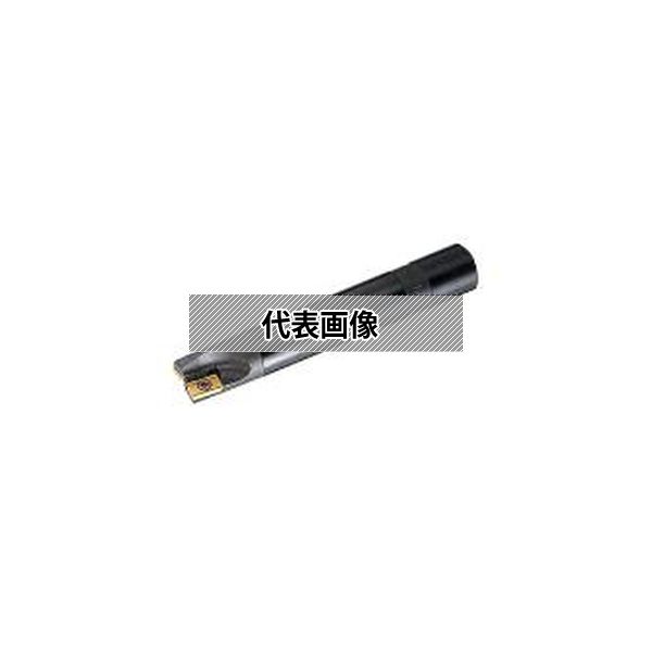 緑であること活動の領域