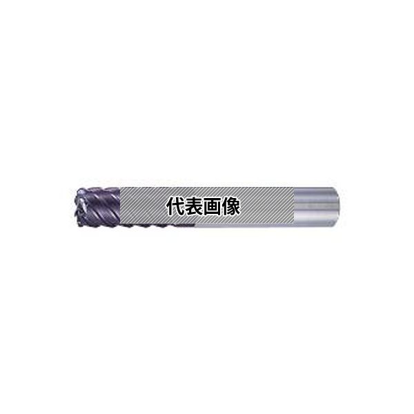 緑であること活動の領域