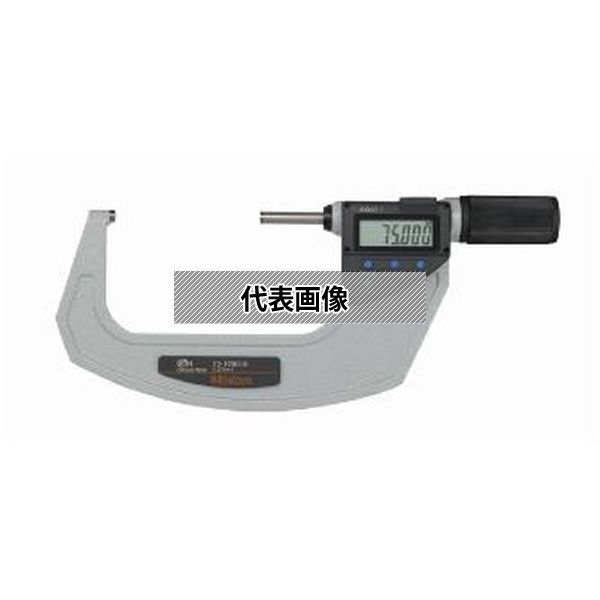 緑であること活動の領域