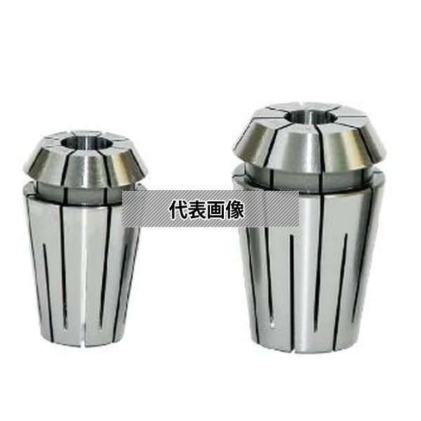 緑であること活動の領域