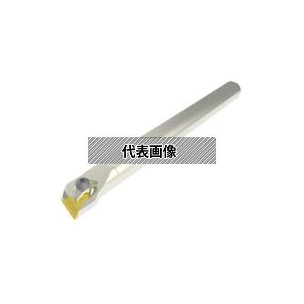 緑であること活動の領域