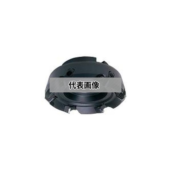 緑であること活動の領域
