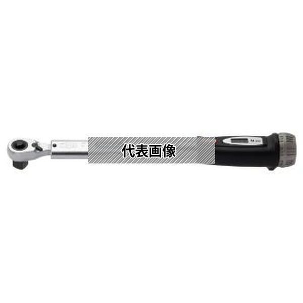 緑であること活動の領域
