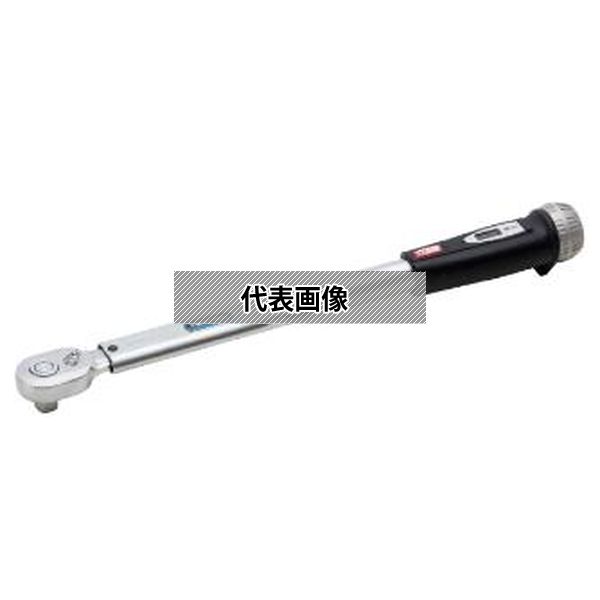 緑であること活動の領域