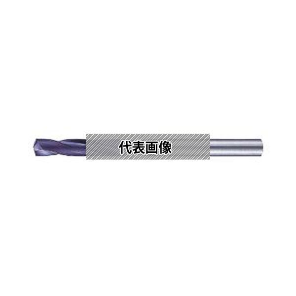 緑であること活動の領域