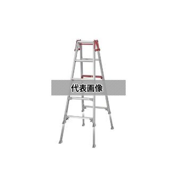 緑であること活動の領域