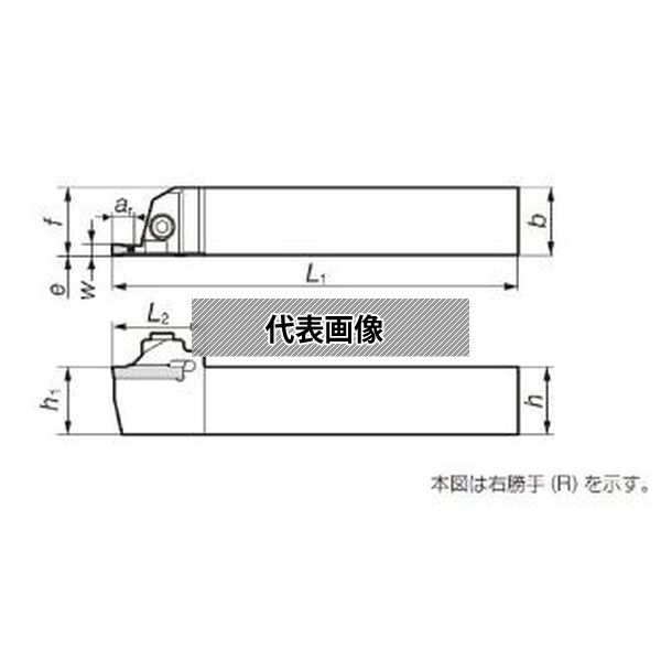 緑であること活動の領域