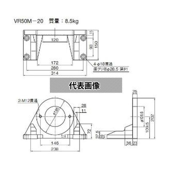 緑であること活動の領域