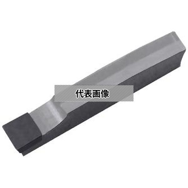緑であること活動の領域